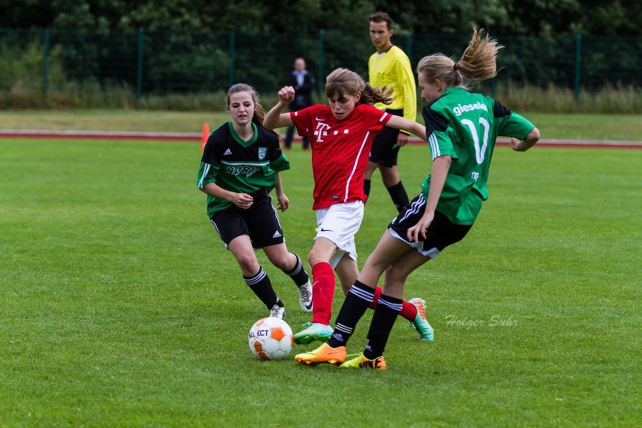 Bild 198 - C-Juniorinnen Landesmeister Finale SV Wahlstedt - TuRa Meldorf : Ergebnis: 1:4